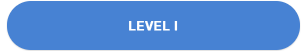 LEVEL 1
